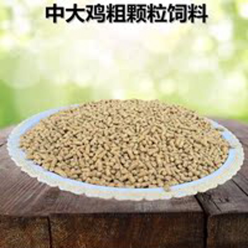 饲料原料行情信息网：2026年，一个采购经理的实战复盘与行动清单