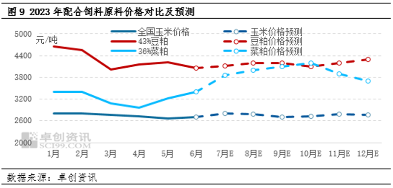水产饲料粘合剂深度对比：哪种更适合你的养殖模式？